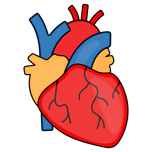 Cardiology & Cardiac Surgery